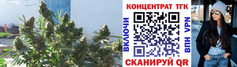 ТГК Wax  Октябрьский 