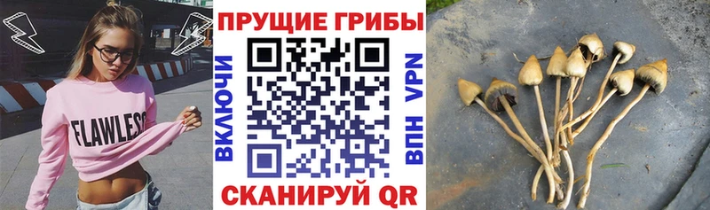 наркошоп  сайты даркнета формула  Псилоцибиновые грибы Psilocybine cubensis  Октябрьский 