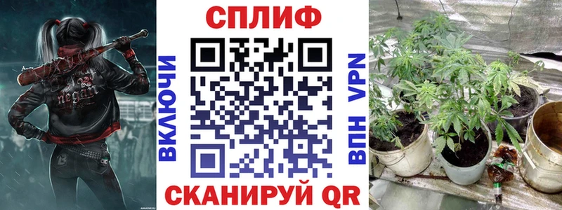 Конопля OG Kush цена KRAKEN ТОР Октябрьский