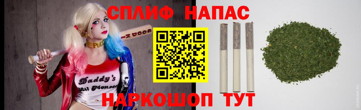 Конопля гибрид Октябрьский